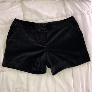 Black Velvet Shorts
